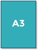 A3