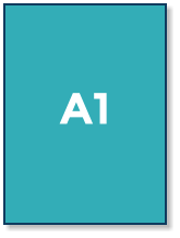 A1