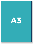 A3